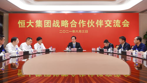 恒大集团,恒大集团资产评估报告